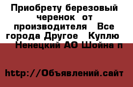 Приобрету березовый черенок  от производителя - Все города Другое » Куплю   . Ненецкий АО,Шойна п.